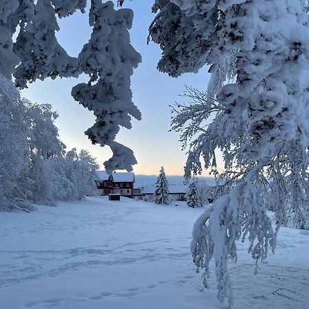 Gemuetliche Ferienwohnung Harz Braunlage Hohegeiss Kültér fotó