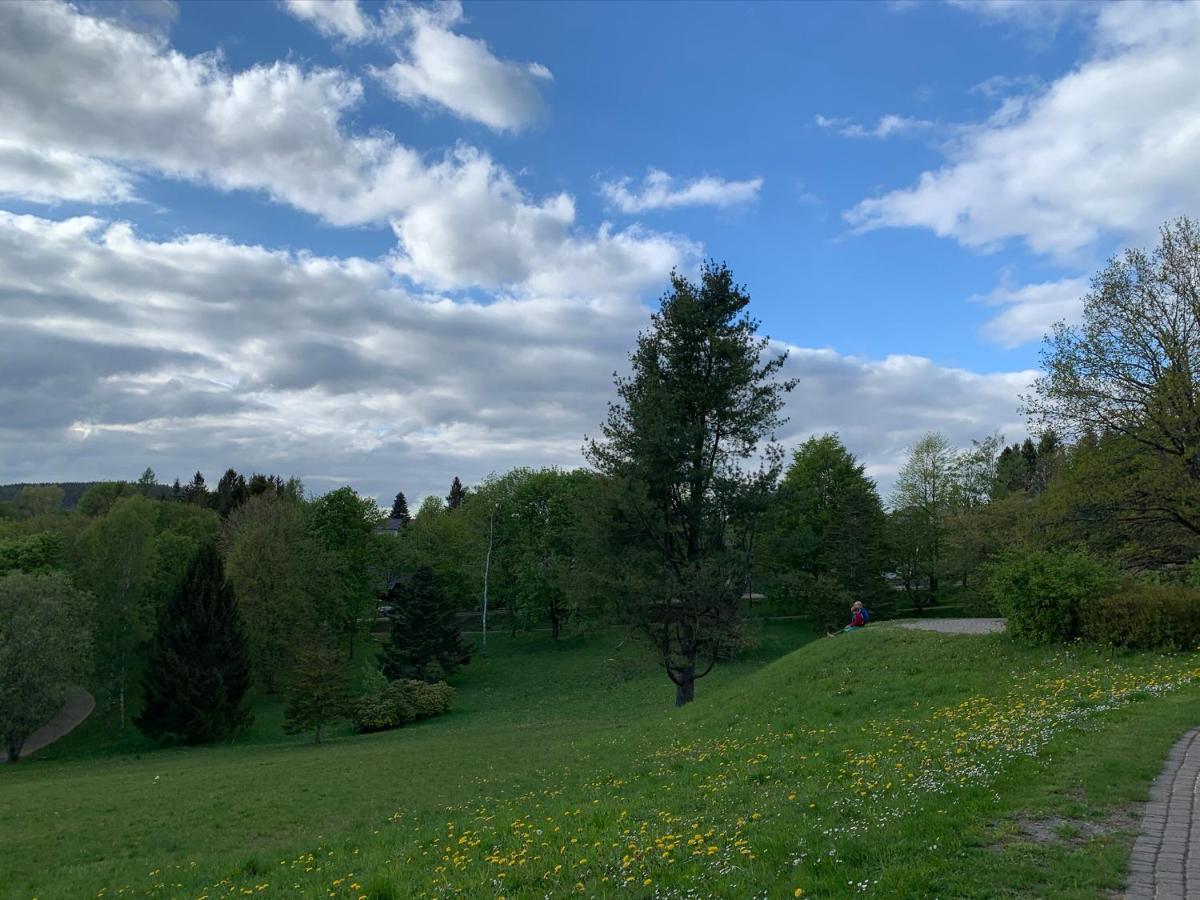 Gemuetliche Ferienwohnung Harz Braunlage Hohegeiss Kültér fotó